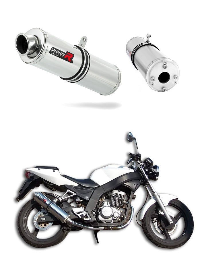 Daelim VJF Roadwin 125 Exhaust Silencer Muffler ST + dB killer medium