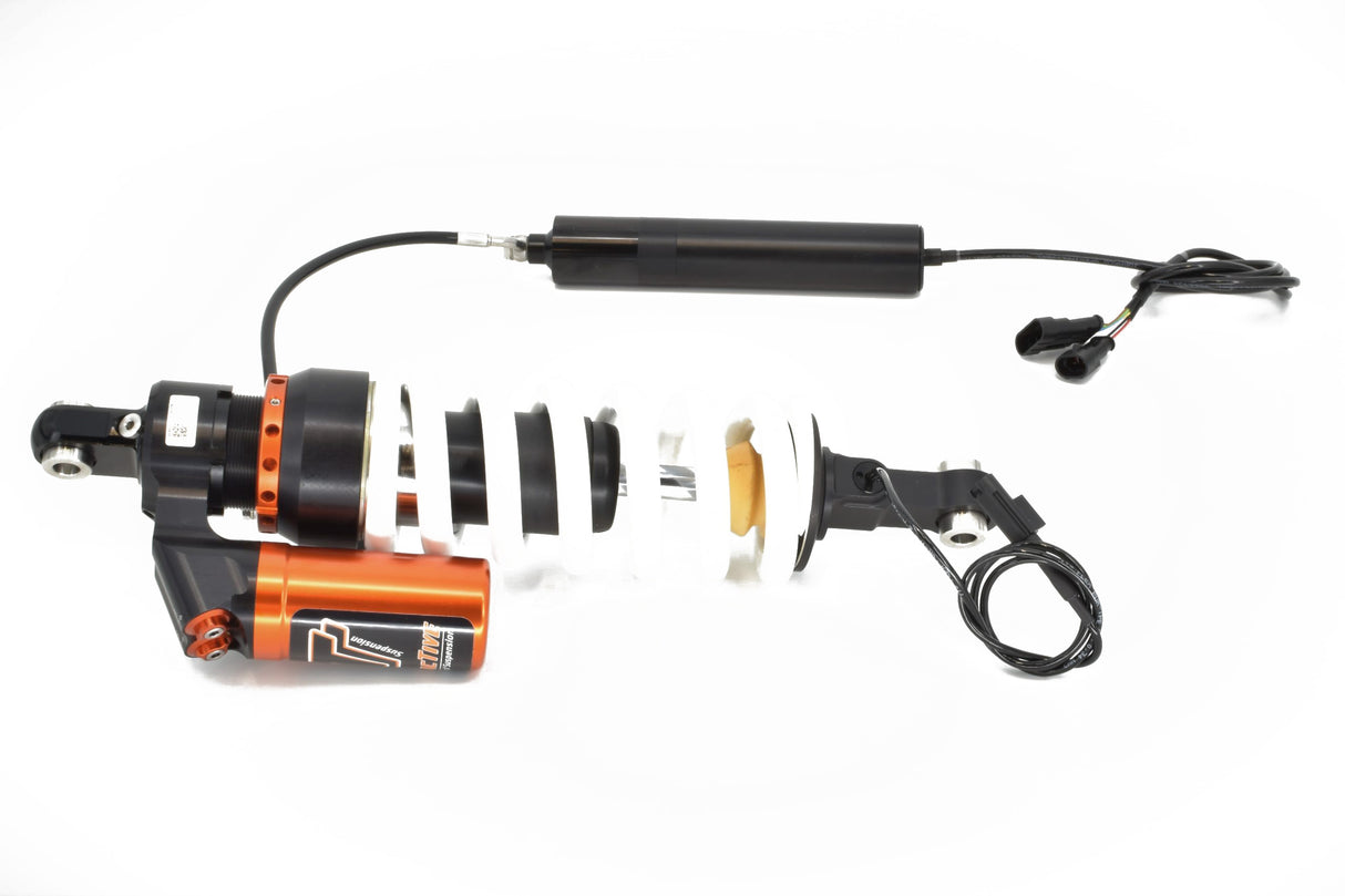 BMW R1200GS 13-17 Rear Shock eX-PERIENCE + EPA