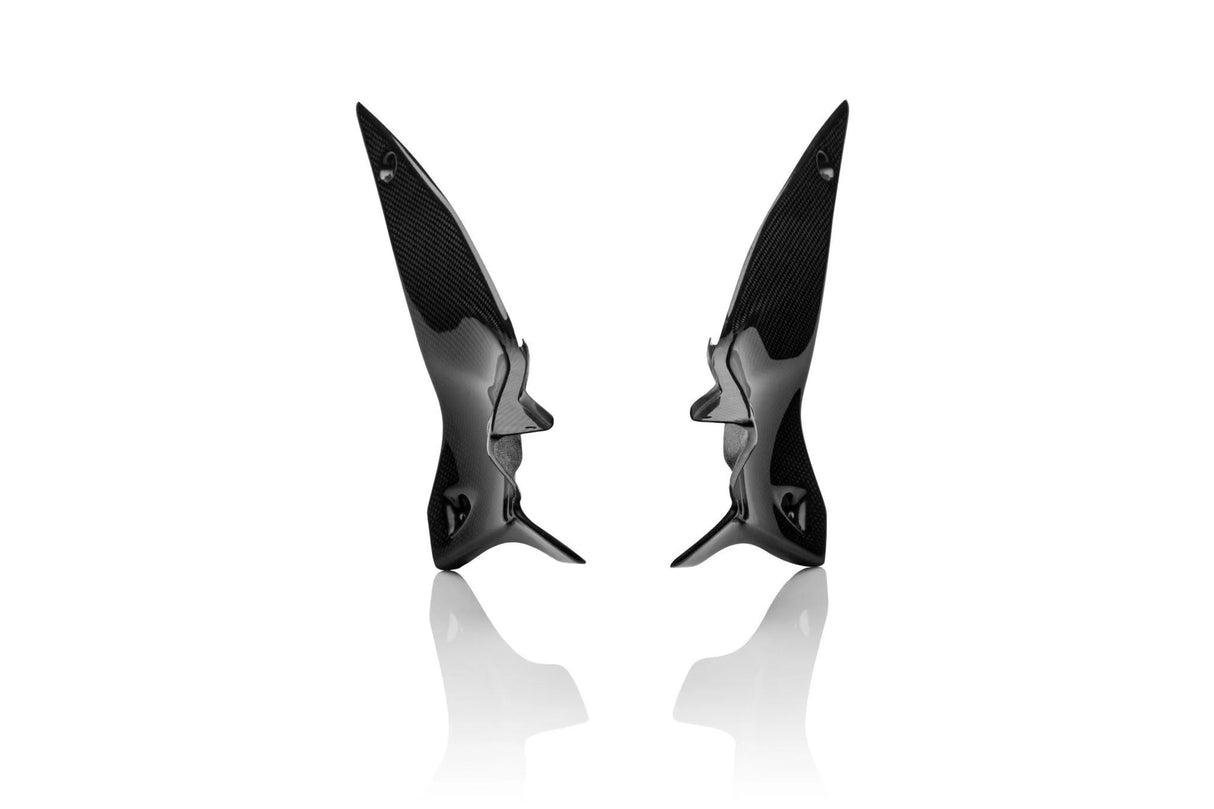 APRILIA RSV4 2009-2020 Carbon Fiber Under Tank Panels