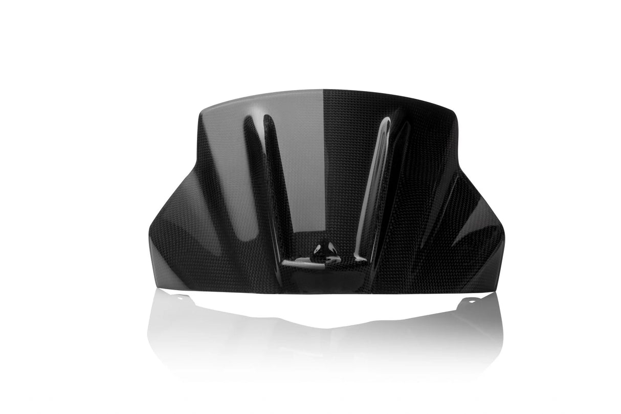 APRILIA Tuono V4 1000 / 1100 RR 2013-2020 Carbon Fiber Airbox Cover