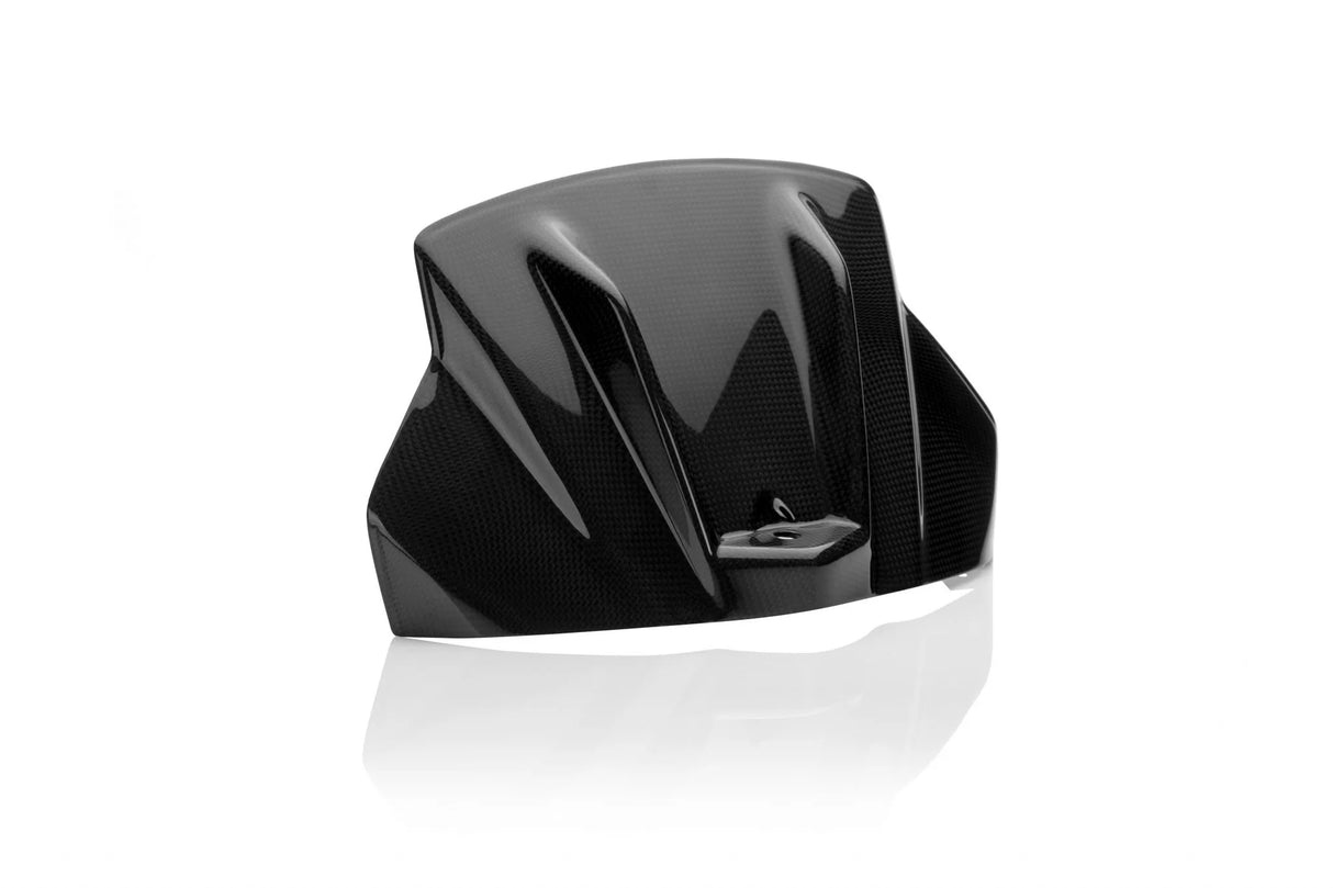 APRILIA Tuono V4 1000 / 1100 RR 2013-2020 Carbon Fiber Airbox Cover