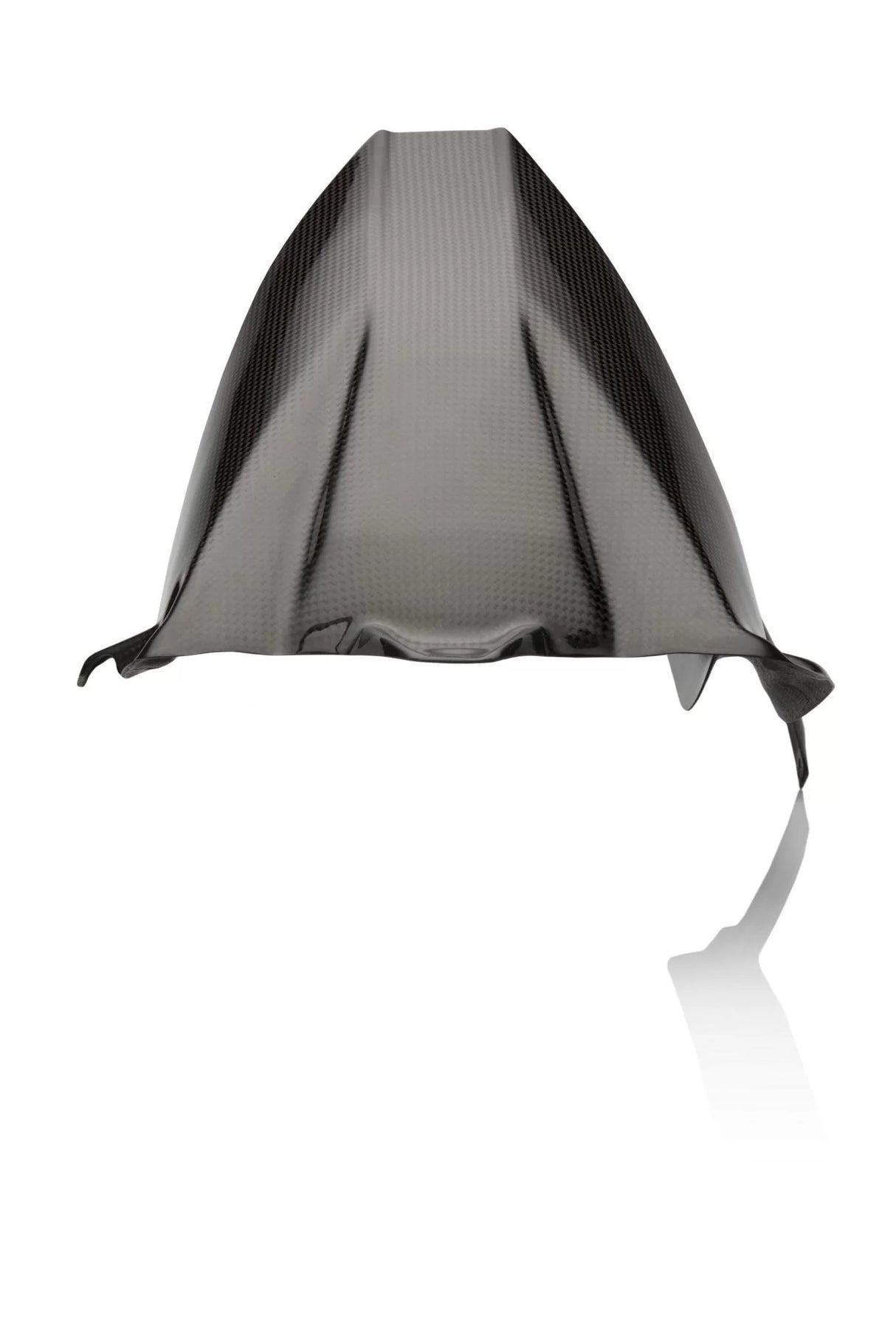 BMW S 1000R 2014-2020 Carbon Fiber Rear Fender with Chain Cover