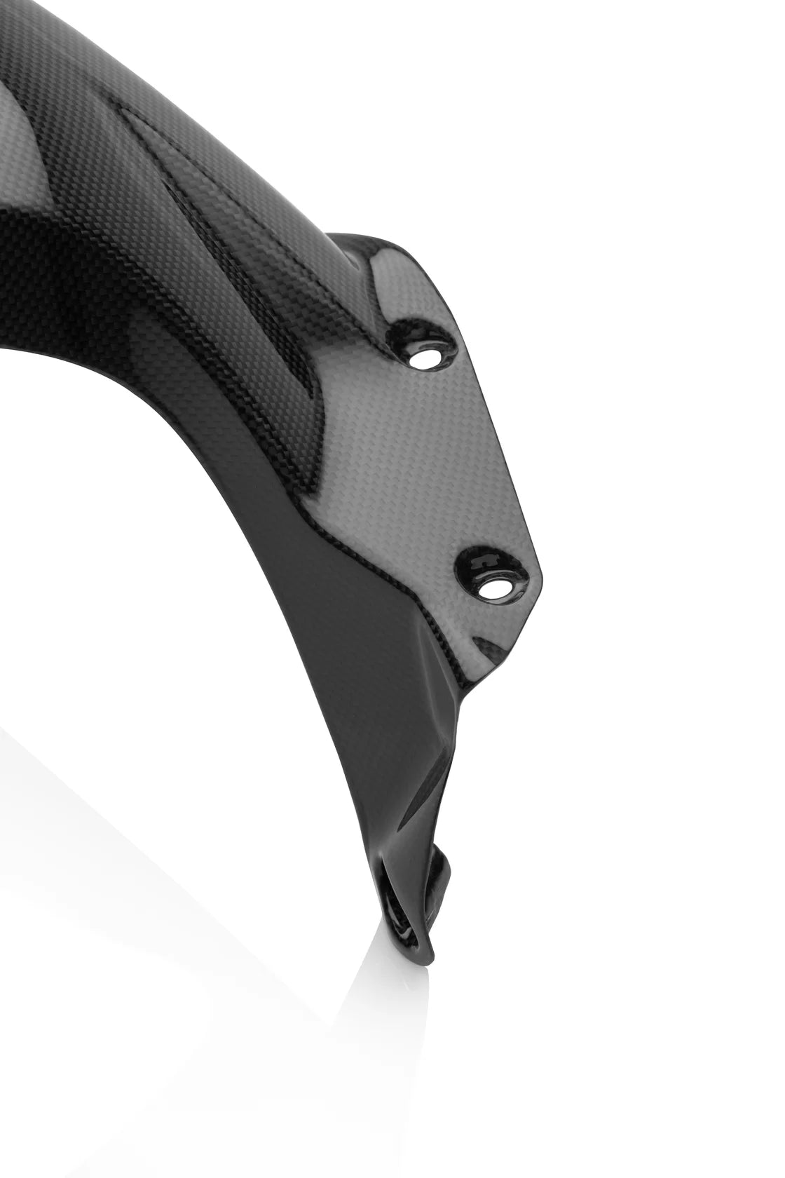 DUCATI Streetfighter V4 Carbon Fiber Rear Hugger