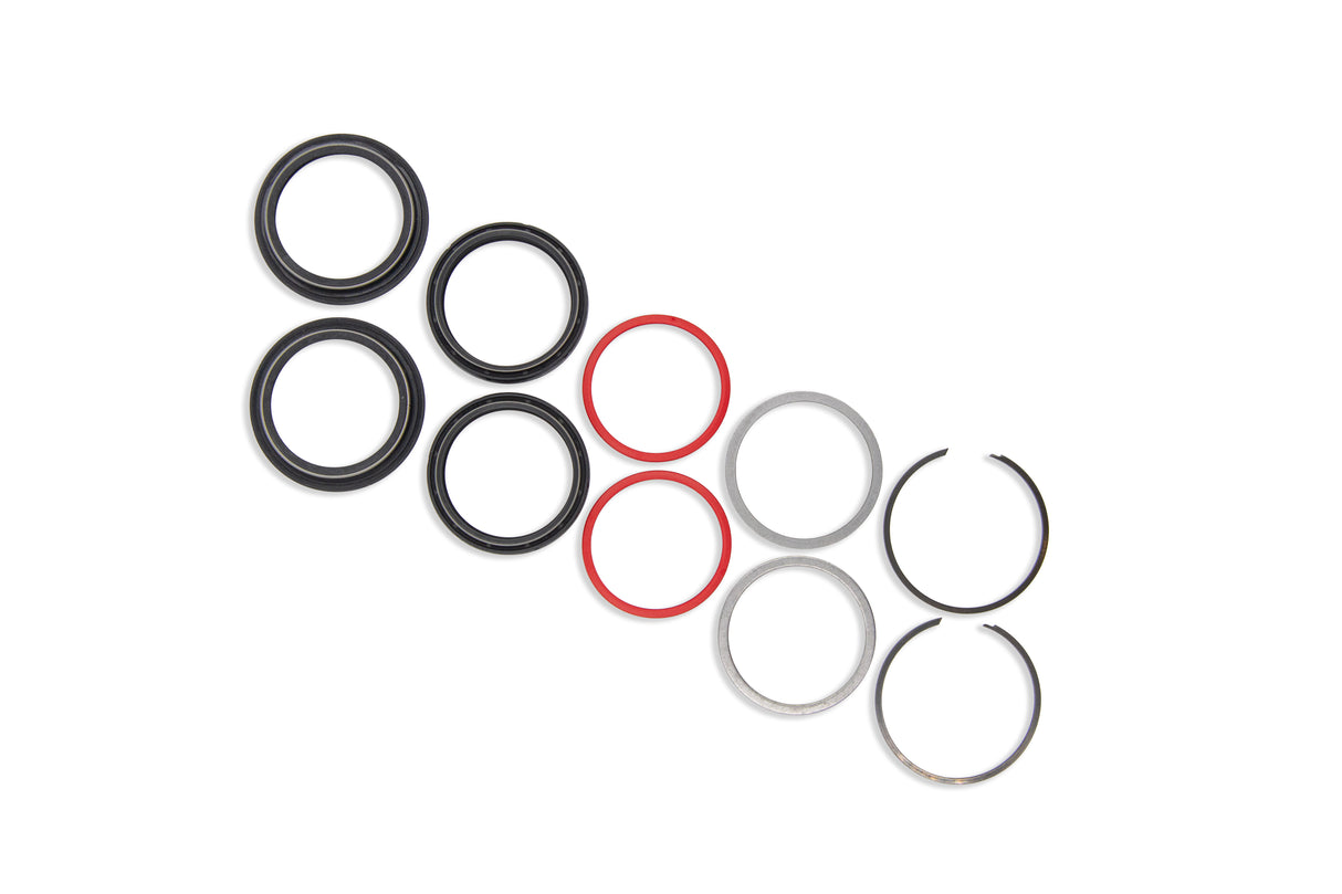 SEAL KIT 48MM Fork seals SKF BLACK