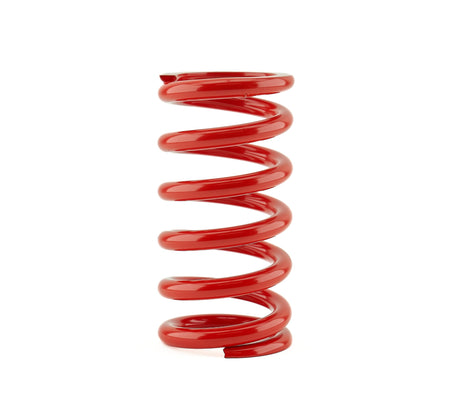 Rear springs