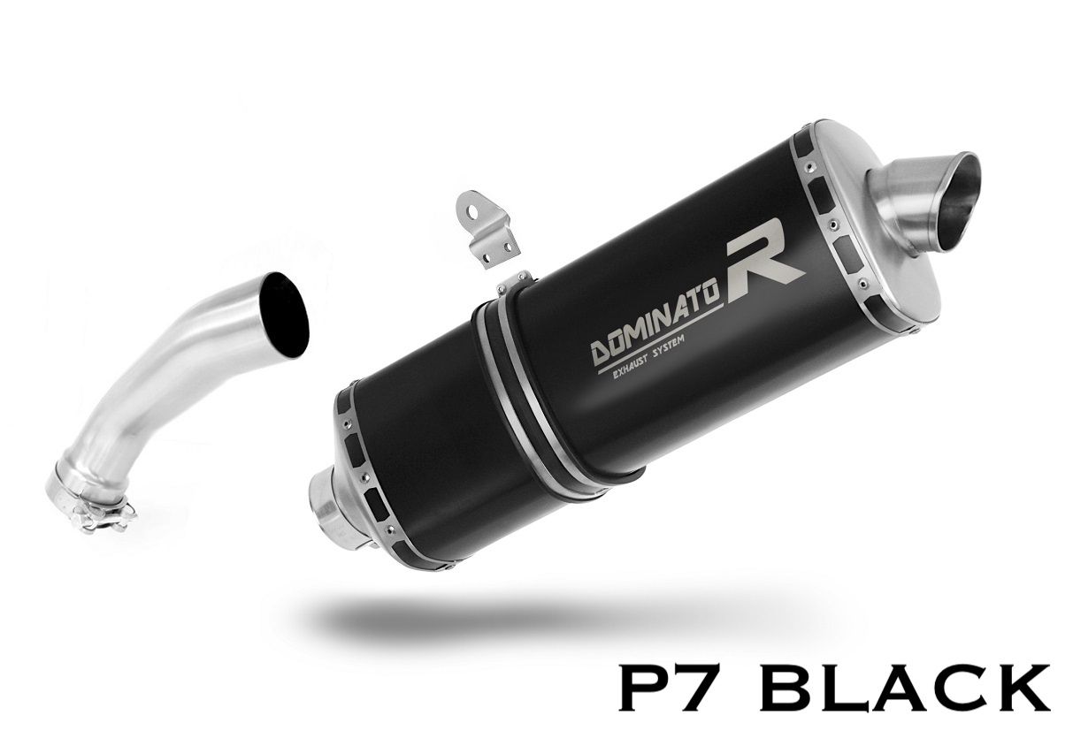 Dominator Exhaust Silencer R1200GS / Adventure 2004 - 2009