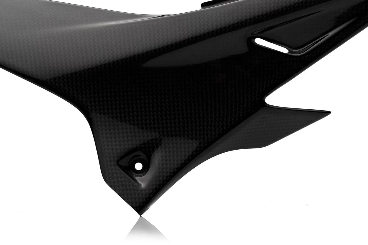 APRILIA Tuono V4 1000 / 1100 RR 2011-2020 Carbon Fiber Under Tank Panels