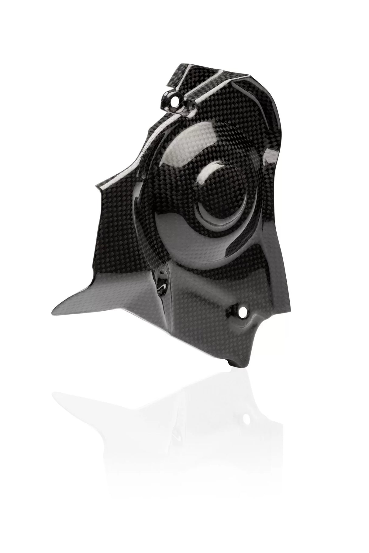 APRILIA RSV4 2009-2020 Carbon Fiber Sprocket Cover