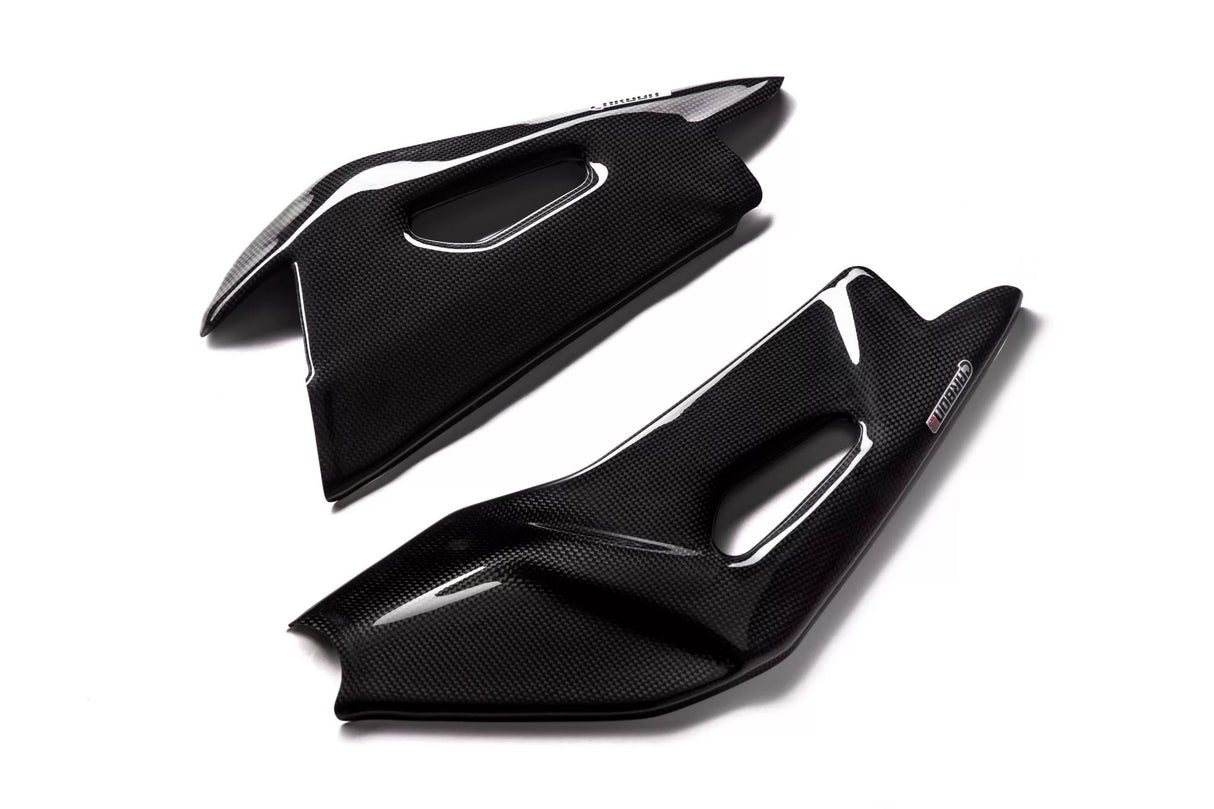 APRILIA Tuono V4 1100 RR / Factory 2015-2020 Carbon Fiber Swingarm Covers