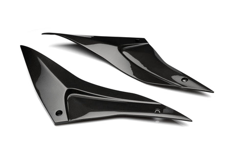 APRILIA Tuono V4 2021-2024 Carbon Fiber Side Tank Panels