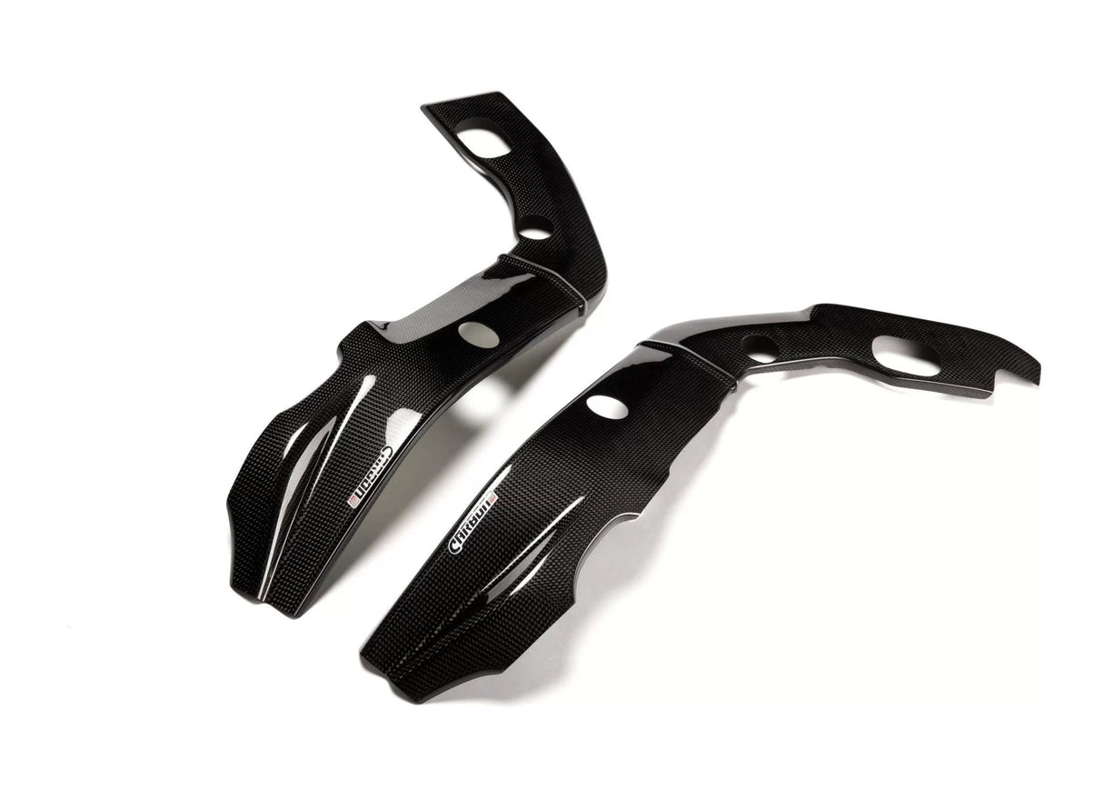 BMW S 1000RR 2009-2011 Carbon Fiber Frame Covers