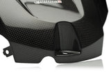 BMW S 1000R 2014-2020 Carbon Fiber Front Tank Airbox Cover