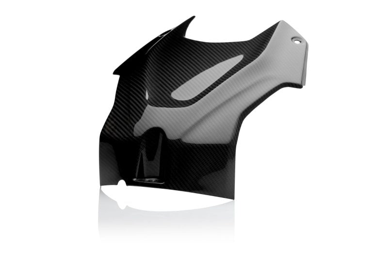 BMW S 1000R 2021-2024 Carbon Fiber Front Tank Airbox Cover