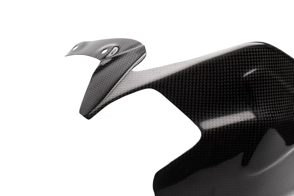 DUCATI Panigale 1199/1299 Carbon Fiber Swingarm Cover