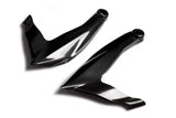 DUCATI Panigale 1199/1299 Carbon Fiber Frame Covers