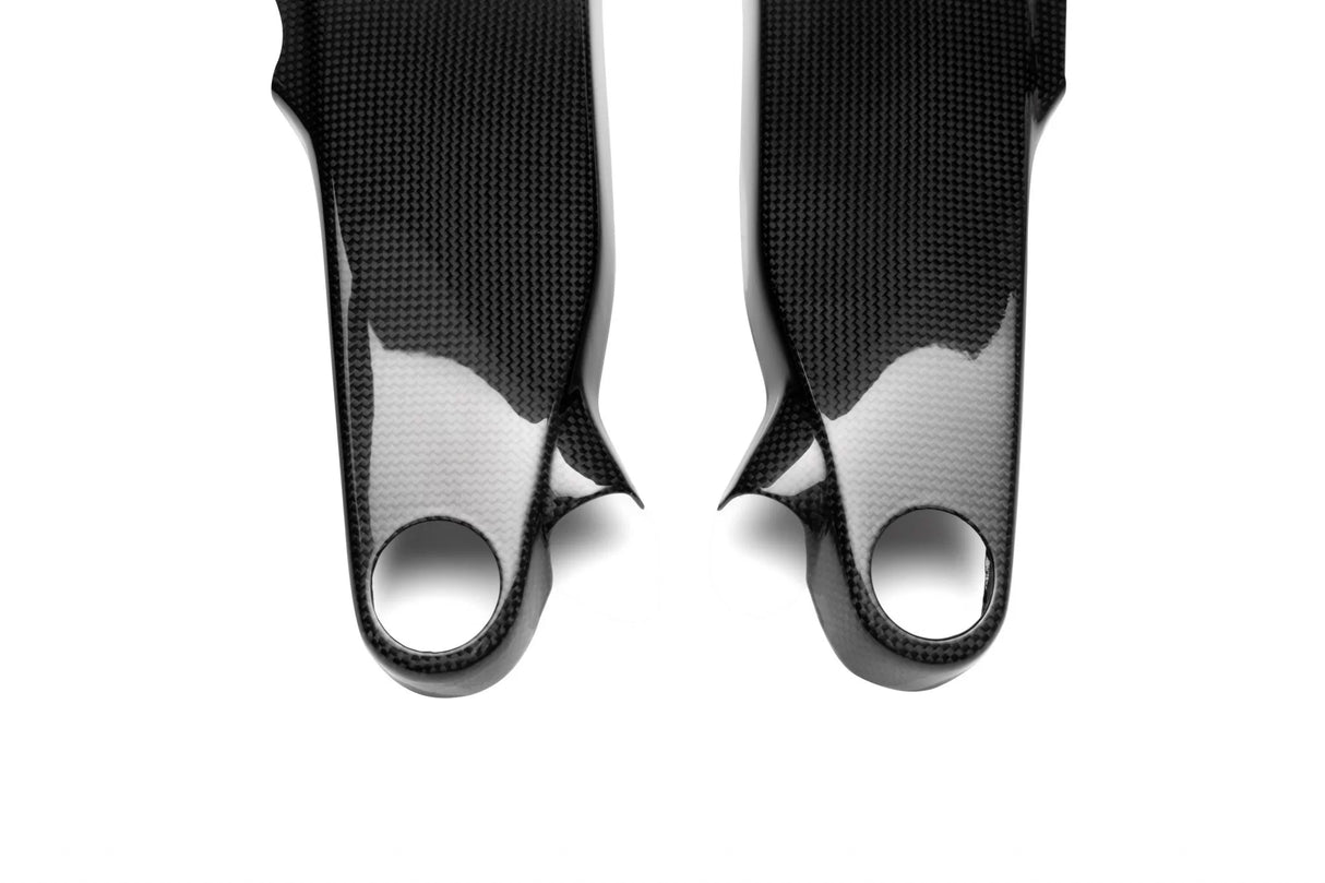 DUCATI Panigale V4 Carbon Fiber Frame Covers