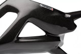 MV AGUSTA Superveloce 800/S/98 Carbon Fiber Swingarm Cover