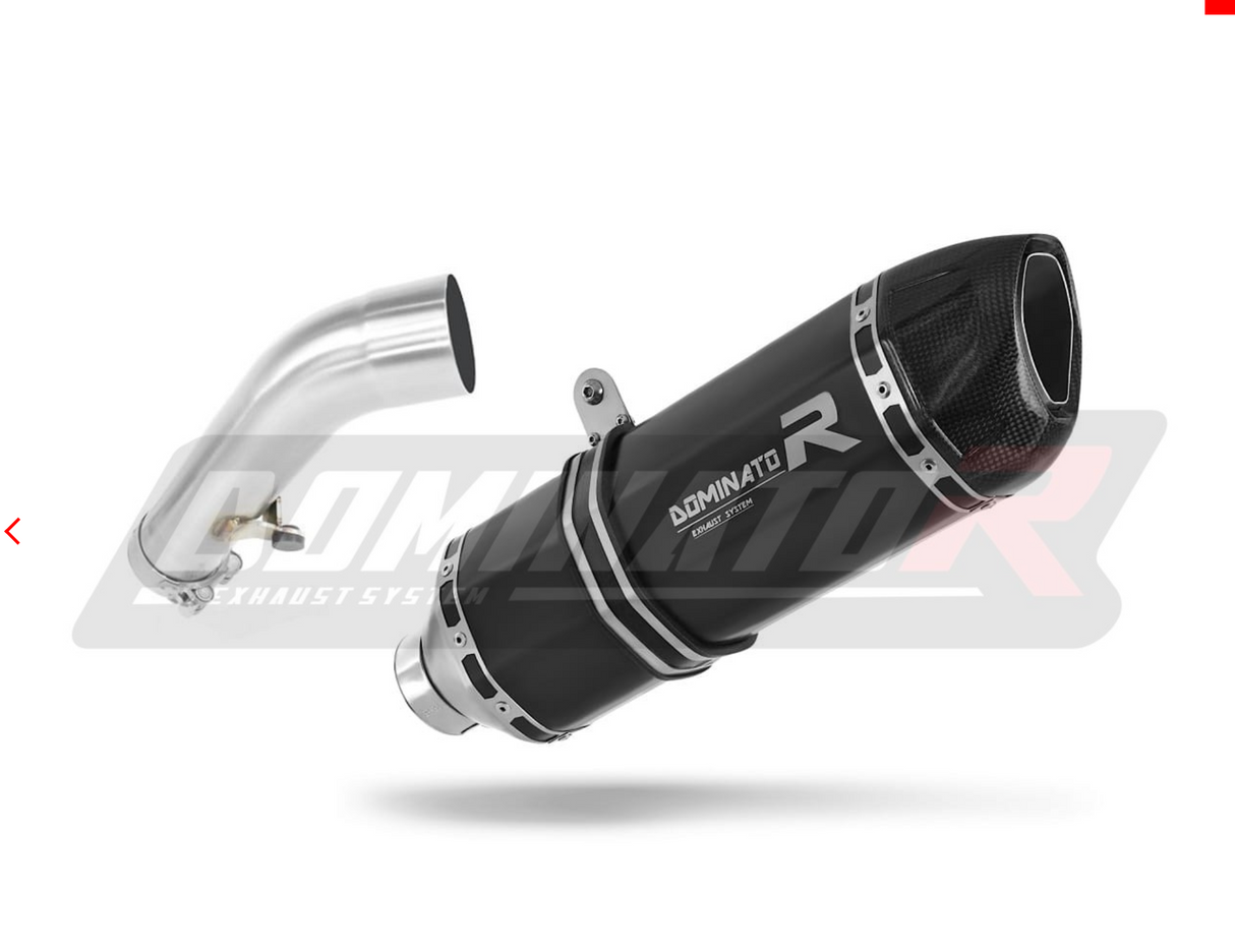 Dominator Exhaust Silencer R1200R 2006-2009