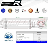 Dominator Exhaust Silencer M1000RR 2021-2022