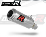 Dominator Exhaust Silencer M1000RR 2021-2022