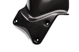 TRIUMPH Daytona 675 2006-2012 Carbon Fiber Rear Hugger