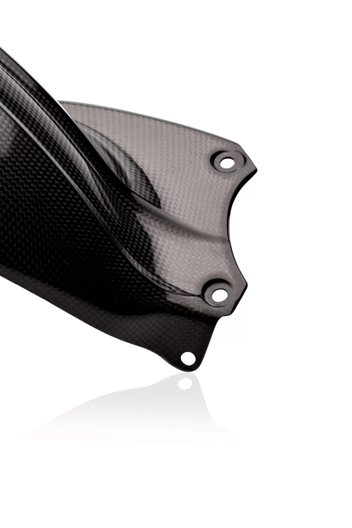 TRIUMPH Speed Triple 1050 2011-2020 S/RS Carbon Fiber Rear Hugger