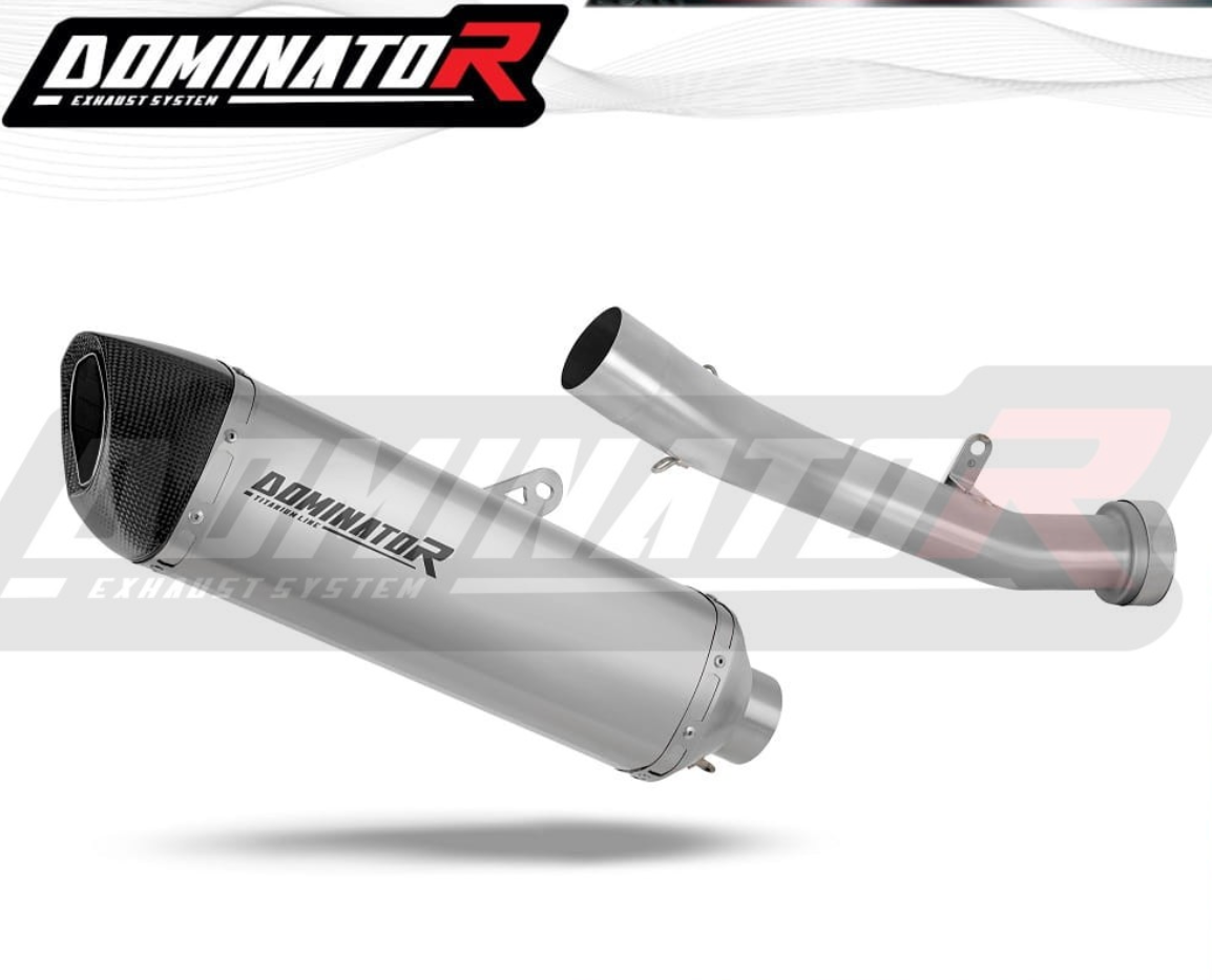 Dominator Exhaust Silencer Kawasaki ZX10R / RR 2021-2024