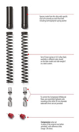 Fork KIT FRK Z1000SX 2011 - 2024