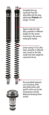 Fork Spring KIT FSE SFV 650 Gladius 2009 - 2015