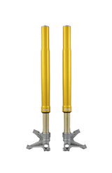 Öhlins FGR 250 USD Front Fork Racing FGR 252