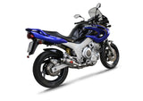 Dominator Exhaust Silencer TDM 850 1991-1995 DOUBLE SYSTEM