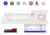 Dominator Exhaust Silencer RSV4 RF / RR 2015 - 2016