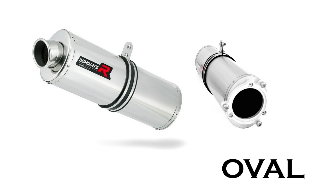 Dominator Exhaust Silencer 929 RR 2000-2001