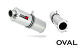Dominator Exhaust Silencer 929 RR 2000-2001