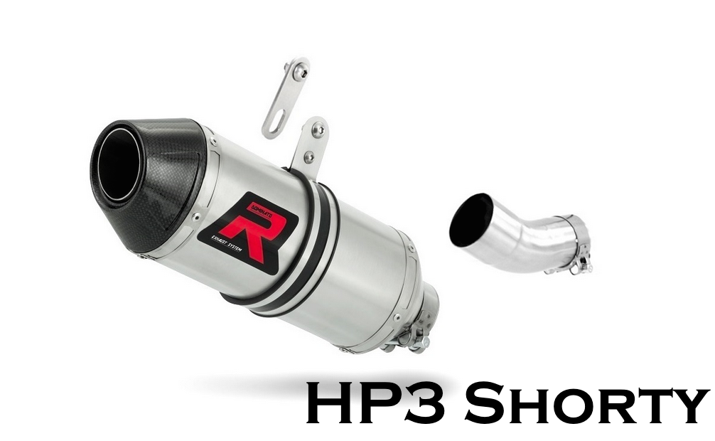 Dominator Exhaust Silencer RSV4 RF / RR 2015 - 2016