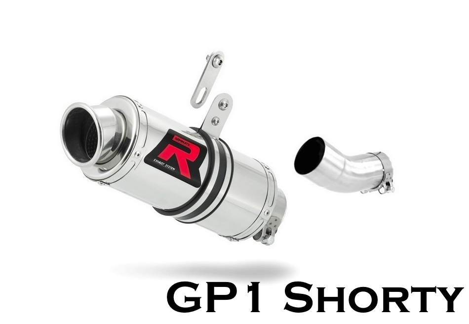 Dominator Exhaust Silencer Tuono V4 RR 2015 - 2016
